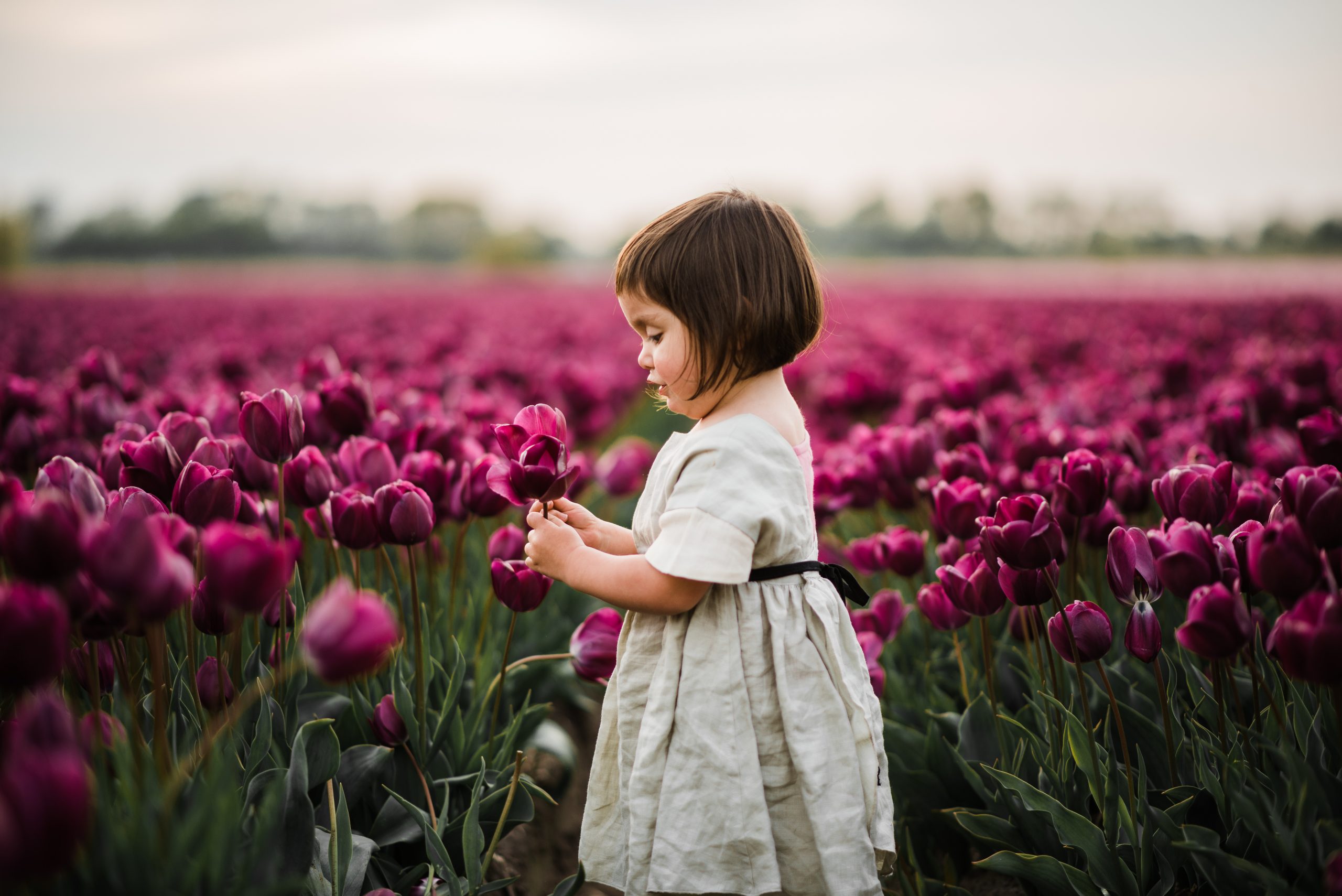 Girl tulips fields