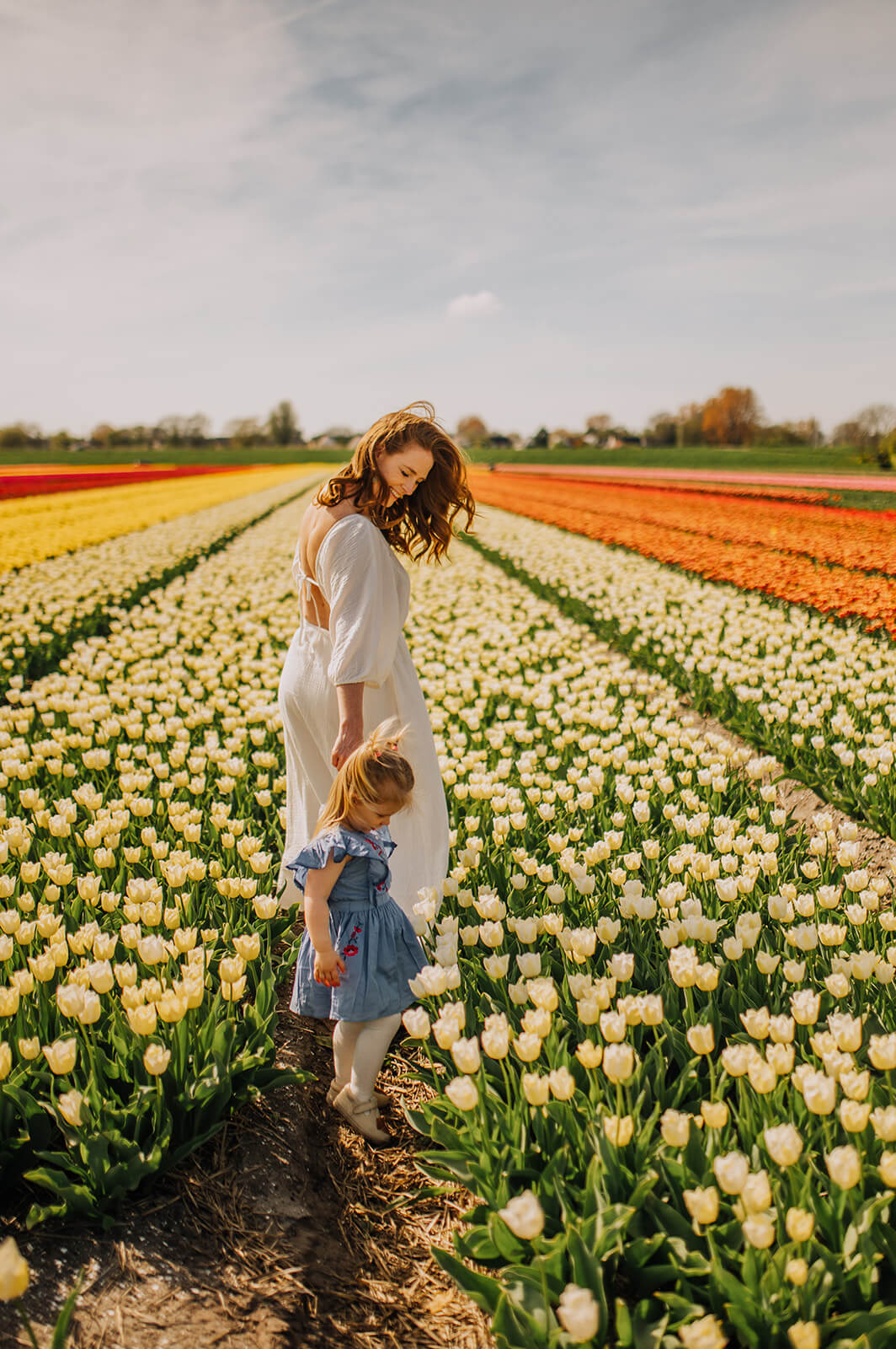 Tulip Fields & Keukenhof Photographer – Amsterdam